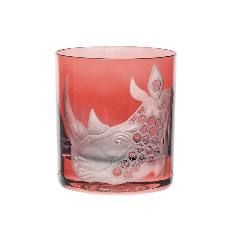 African Safari Rhinoceros