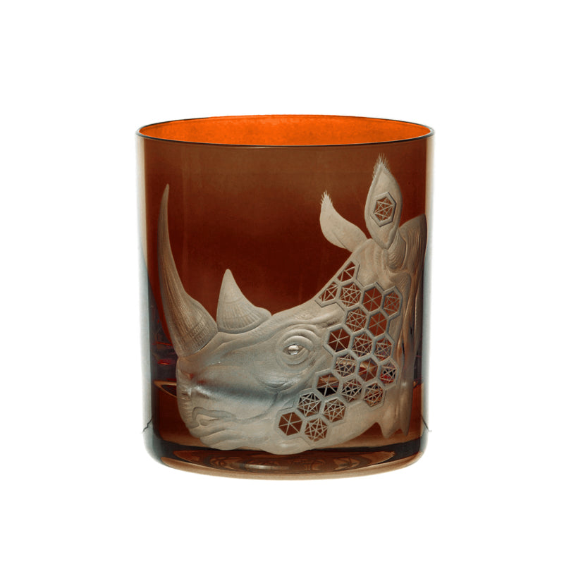 African Safari Rhinoceros