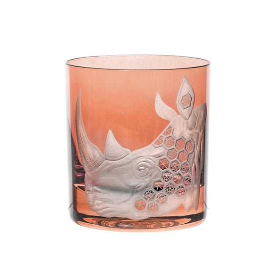 African Safari Rhinoceros