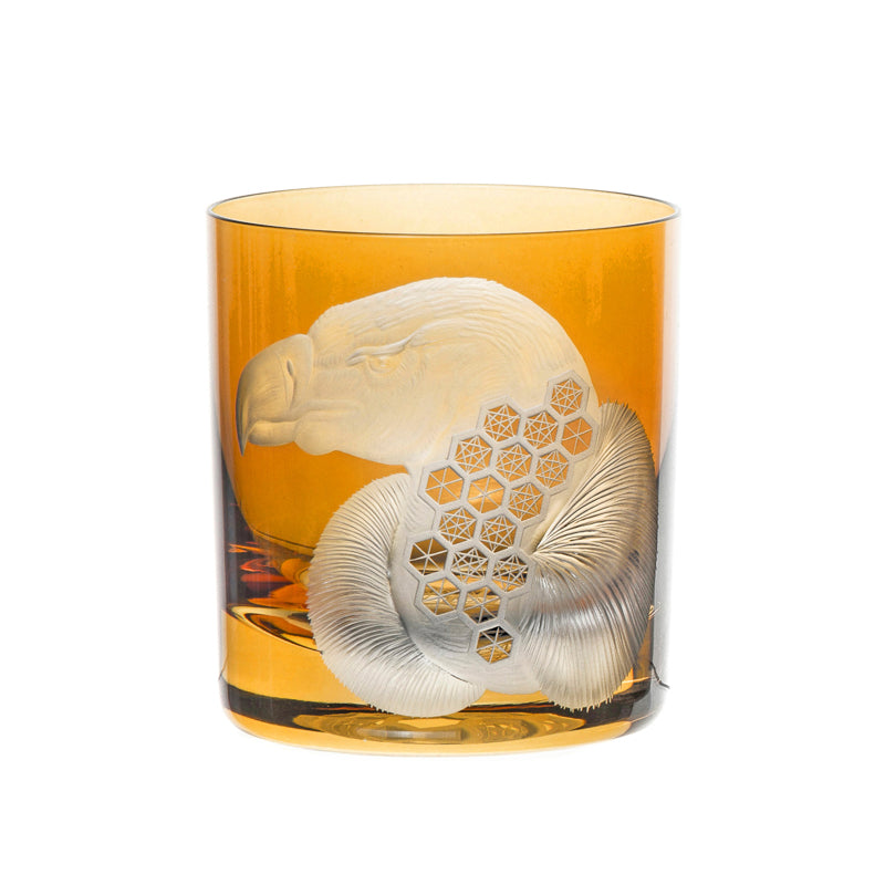 African Safari Vulture