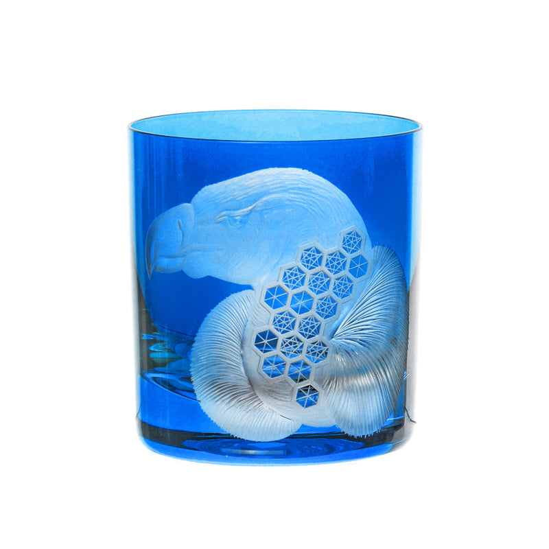 African Safari Vulture