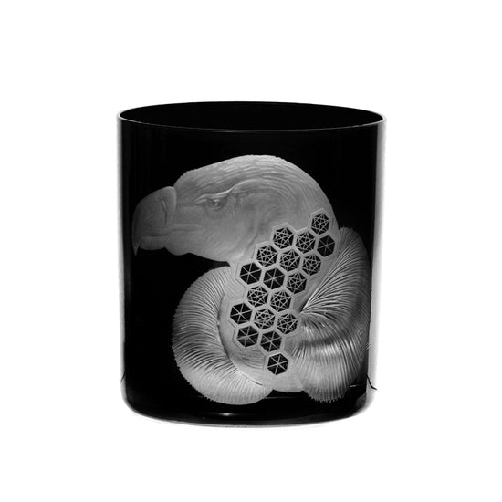 African Safari Vulture