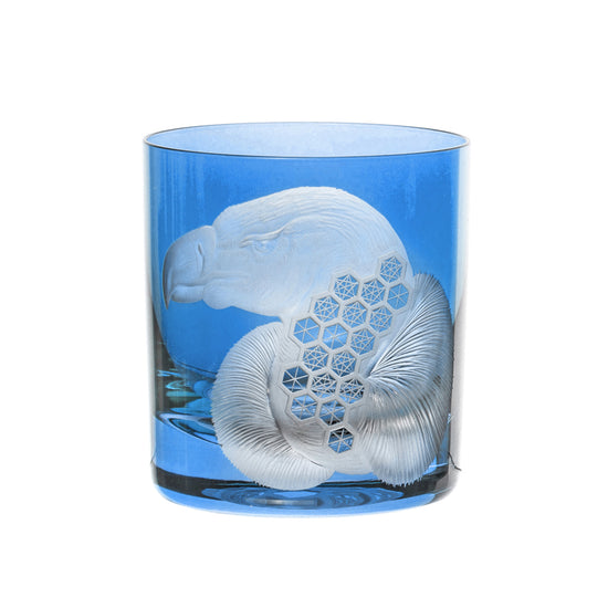 African Safari Vulture