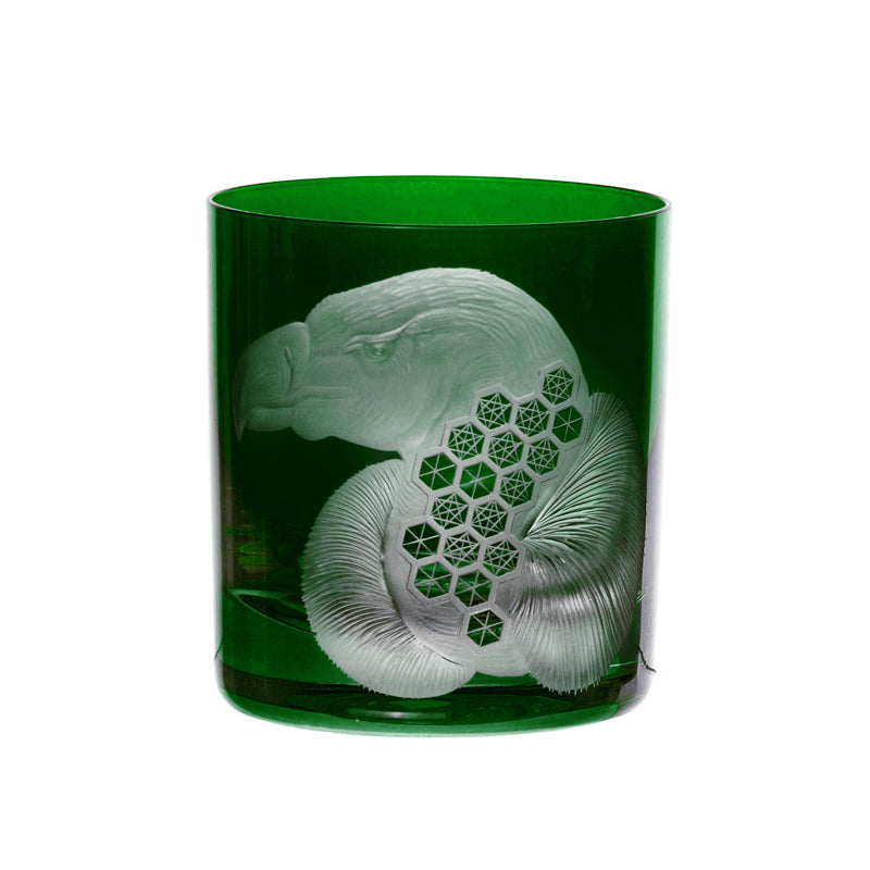 African Safari Vulture