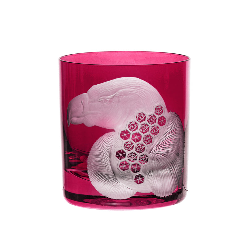 African Safari Vulture