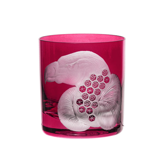 African Safari Vulture