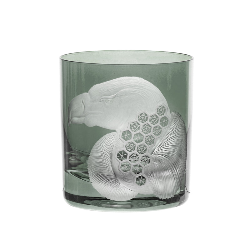 African Safari Vulture