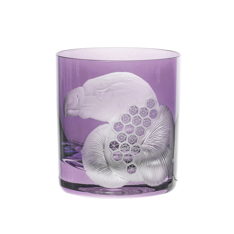 African Safari Vulture