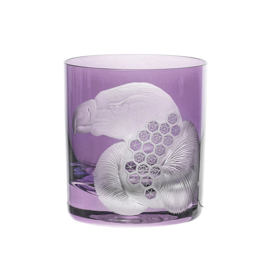 African Safari Vulture