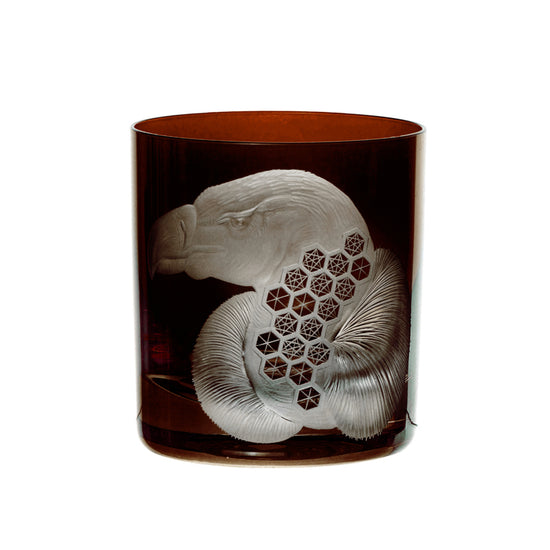 African Safari Vulture