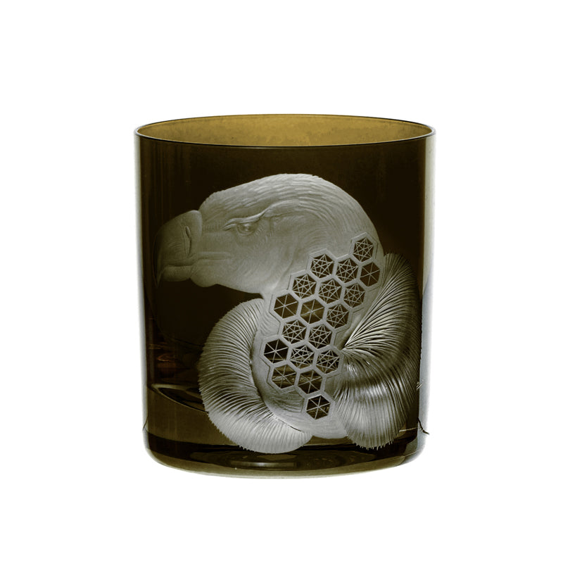 African Safari Vulture