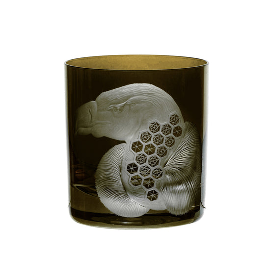 African Safari Vulture