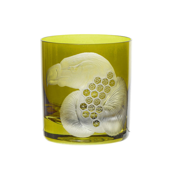 African Safari Vulture