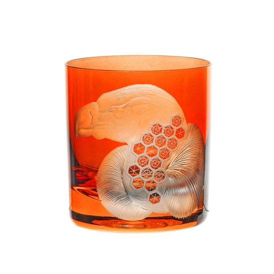 African Safari Vulture