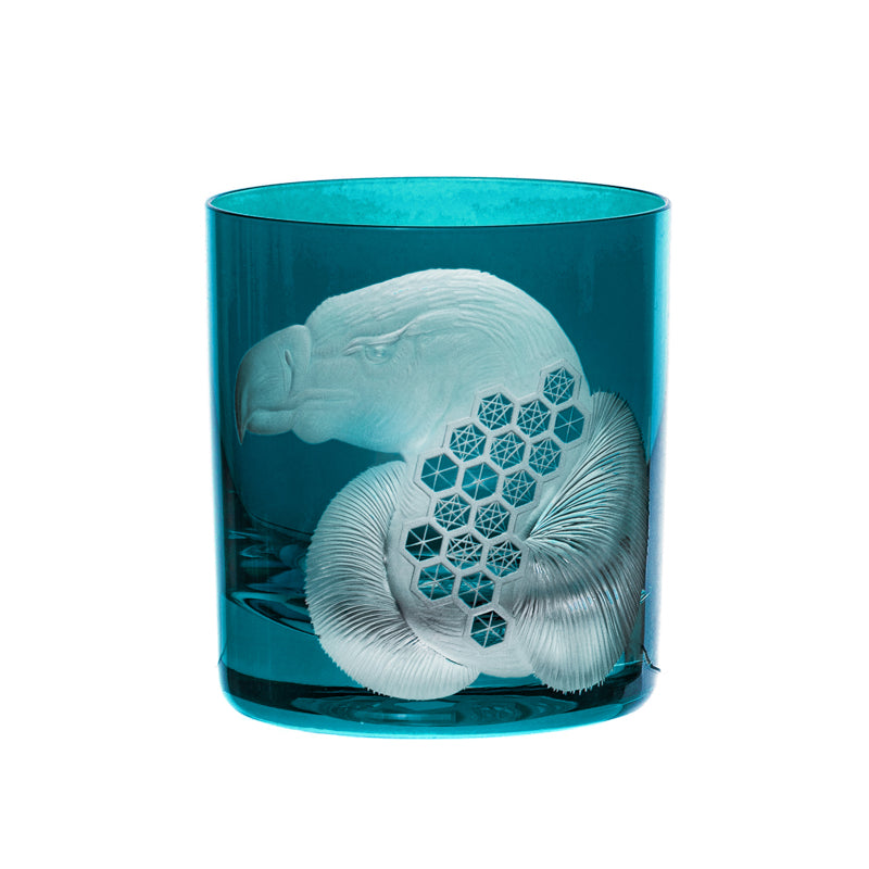 African Safari Vulture