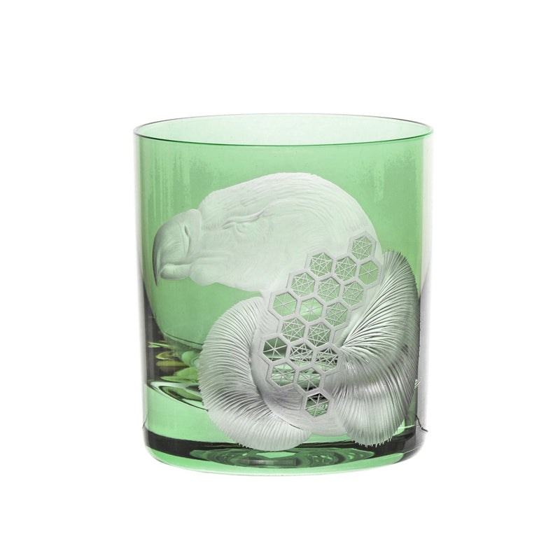 African Safari Vulture