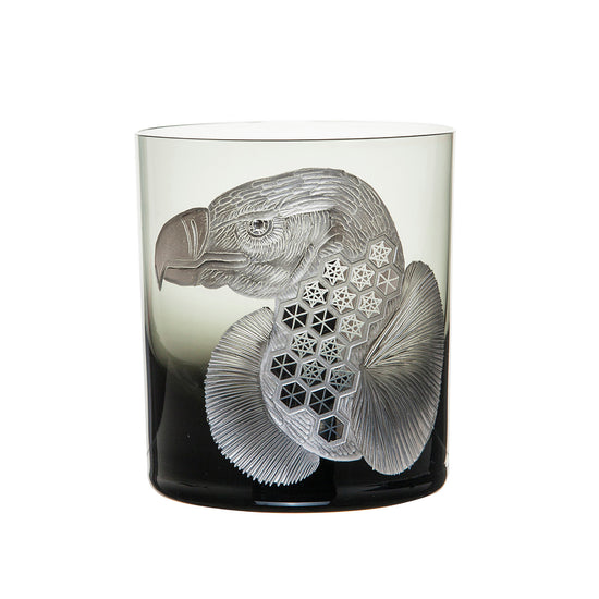 African Safari Vulture