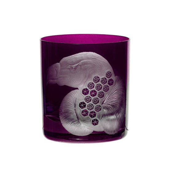 African Safari Vulture