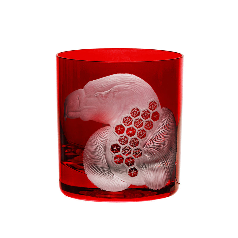 African Safari Vulture