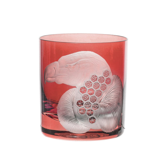 African Safari Vulture