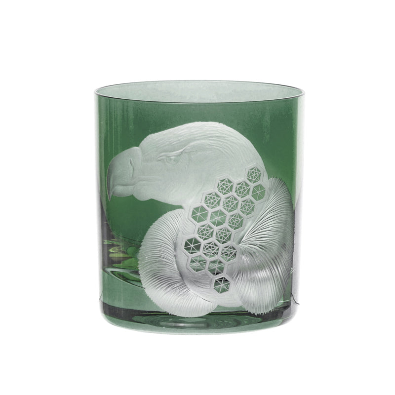 African Safari Vulture