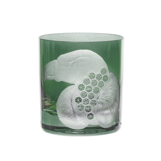 African Safari Vulture