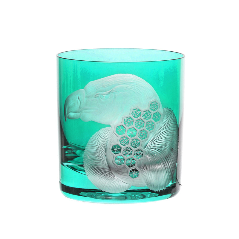 African Safari Vulture