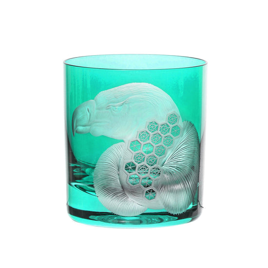 African Safari Vulture