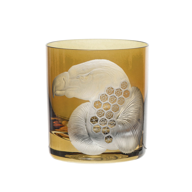 African Safari Vulture