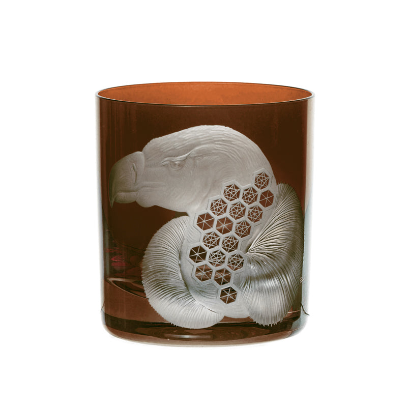 African Safari Vulture