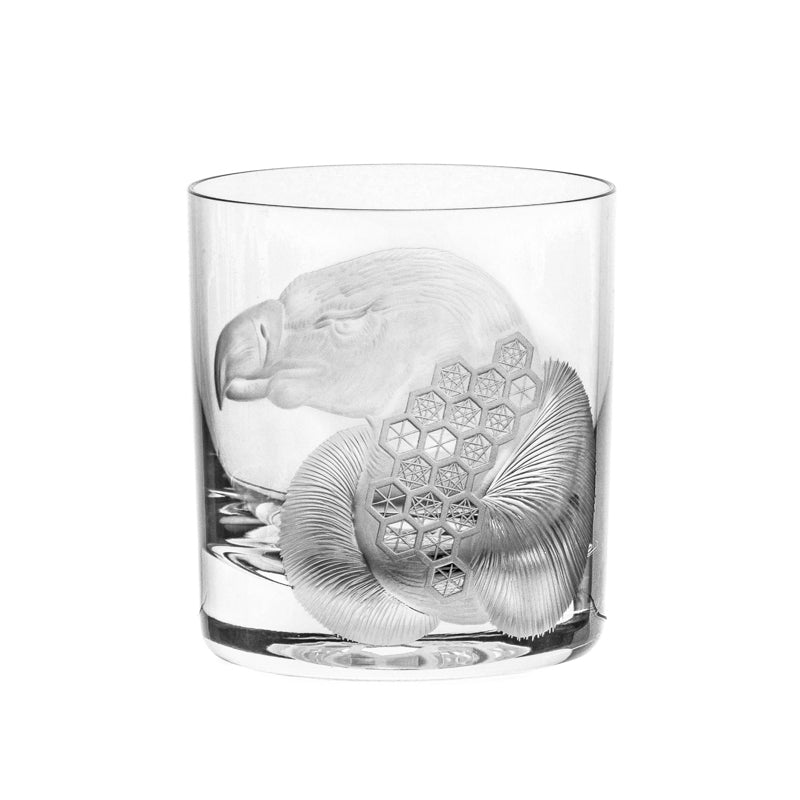 African Safari Vulture