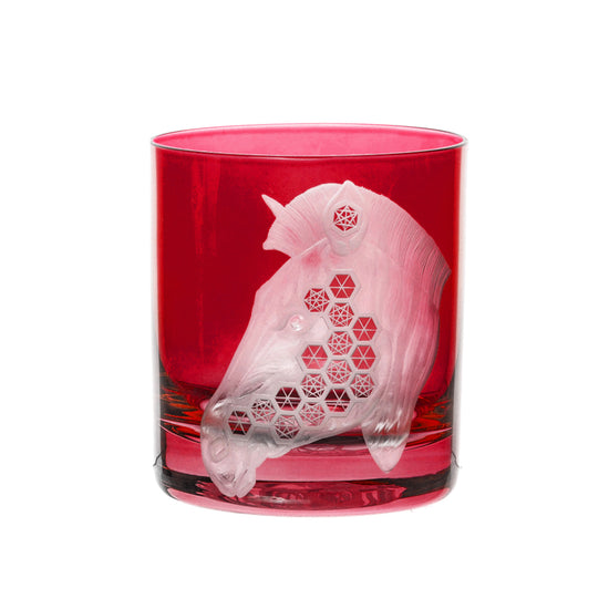 African Safari Zebra