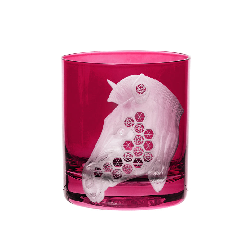 African Safari Zebra