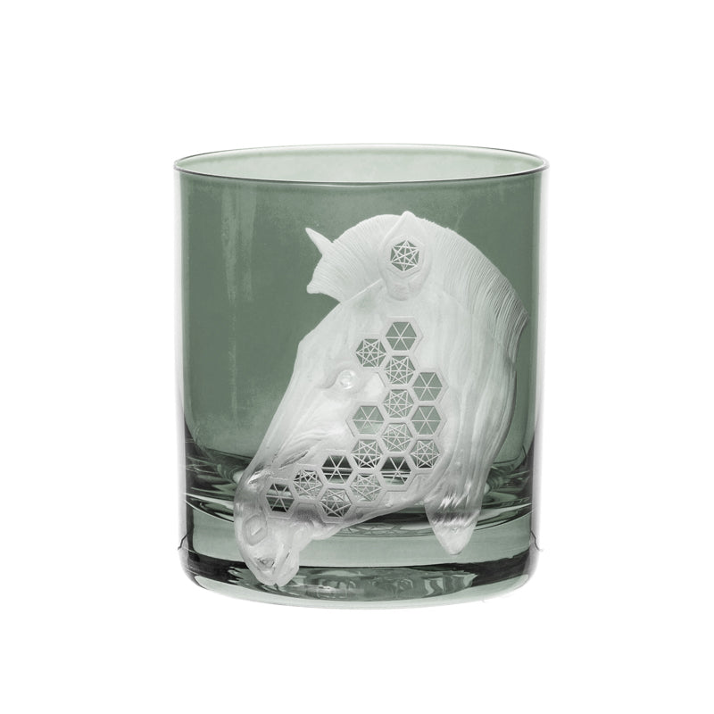 African Safari Zebra