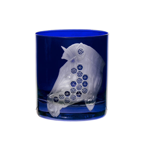 African Safari Zebra