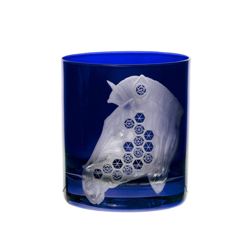 African Safari Zebra