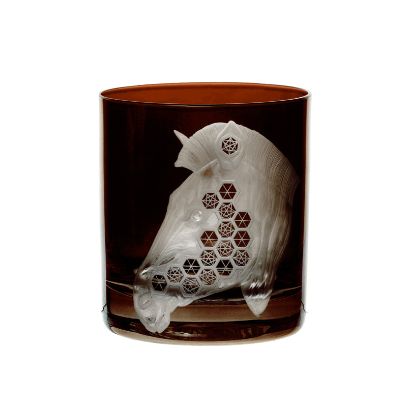 African Safari Zebra