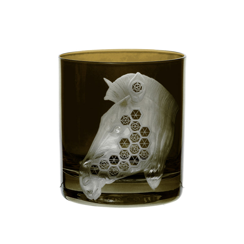 African Safari Zebra