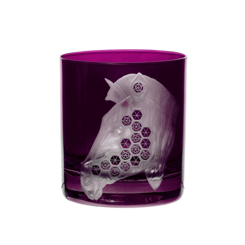 African Safari Zebra