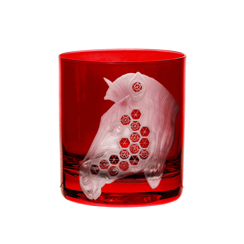 African Safari Zebra