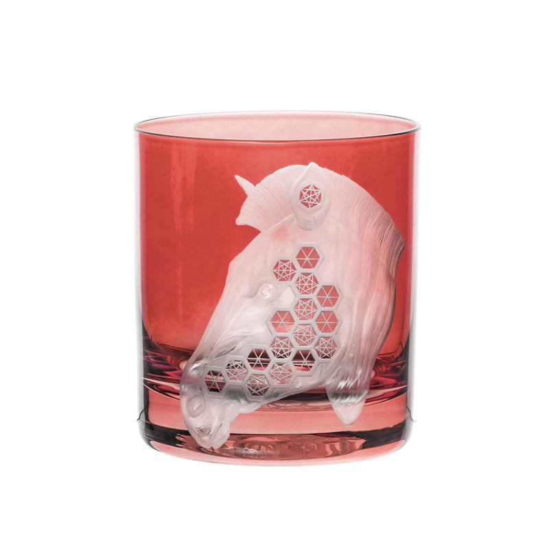 African Safari Zebra