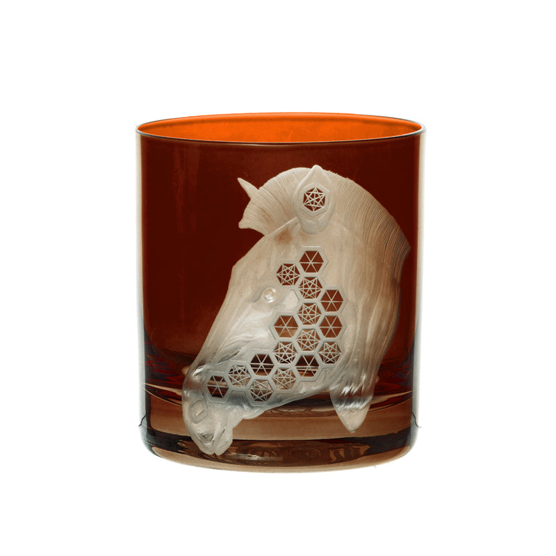 African Safari Zebra