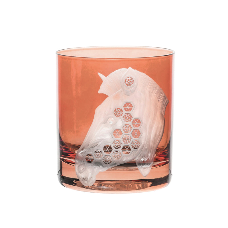 African Safari Zebra