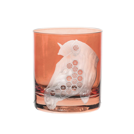 African Safari Zebra