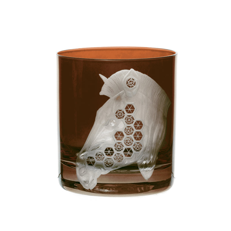 African Safari Zebra