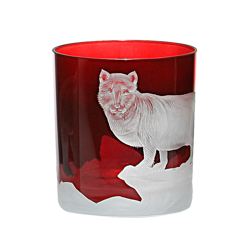 Arctic Fox