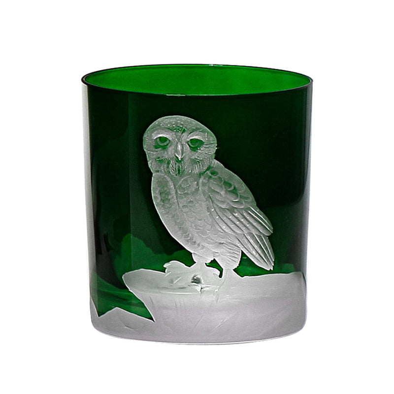 Arctic Snow Owl