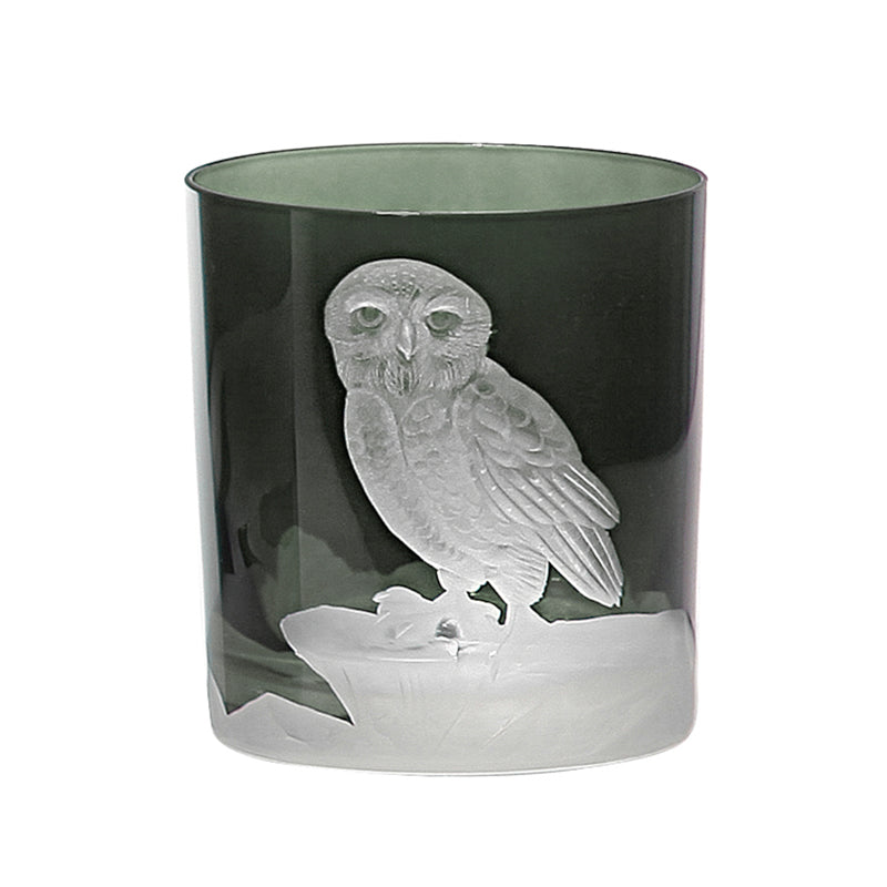 Arctic Snow Owl