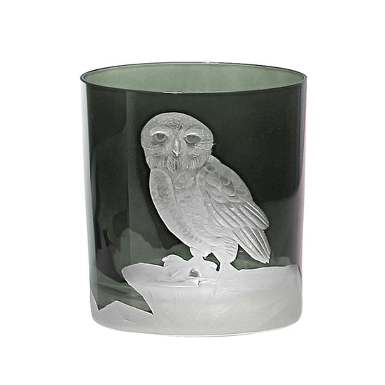 Arctic Snow Owl