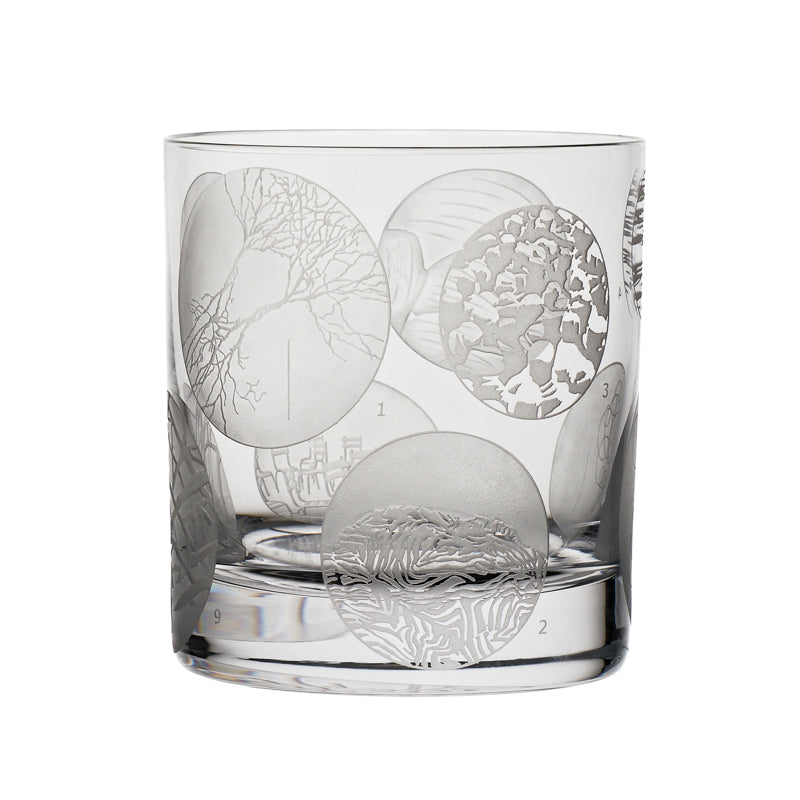 Animation Collection Set